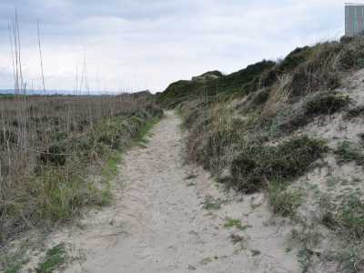 Il corso d'acqua � diviso dalla spiaggia da una serie di dune sabbiose alte tra i sette e gli otto metri, ricoperte da ginepri ed essenziali per la sopravvivenza della rigogliosa fauna del luogo